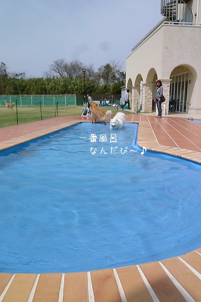a0166954_20573159.jpg