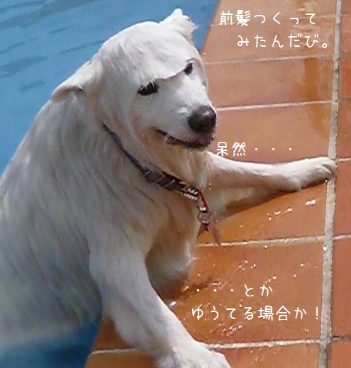 a0166954_21553193.jpg