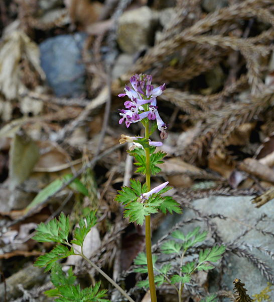 d0091754_23253222.jpg