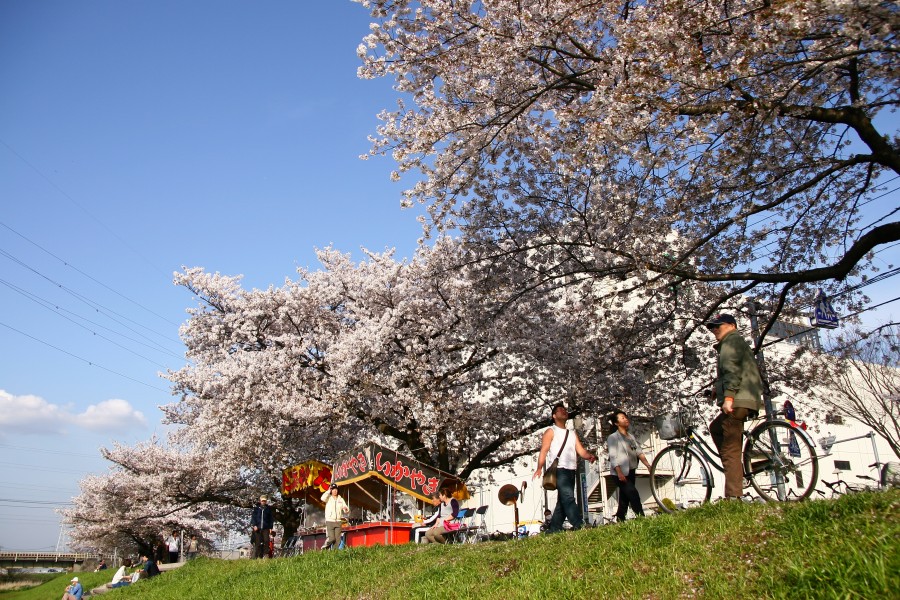d0173255_0494815.jpg
