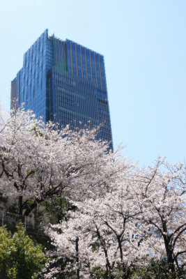 e0129958_20243229.jpg