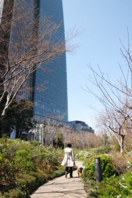 e0129958_20421094.jpg