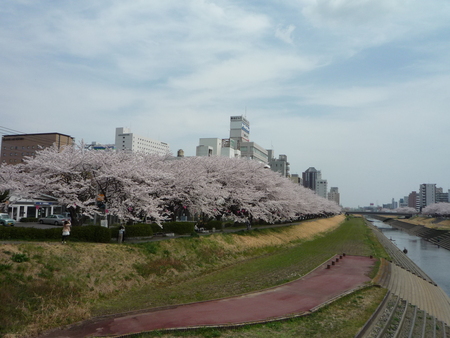 b0167759_16123097.jpg