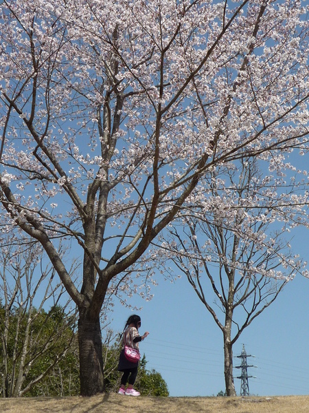 b0167759_1615620.jpg