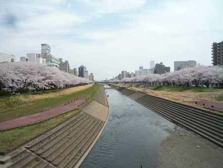 b0167759_1663836.jpg