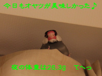 b0158061_0192993.jpg