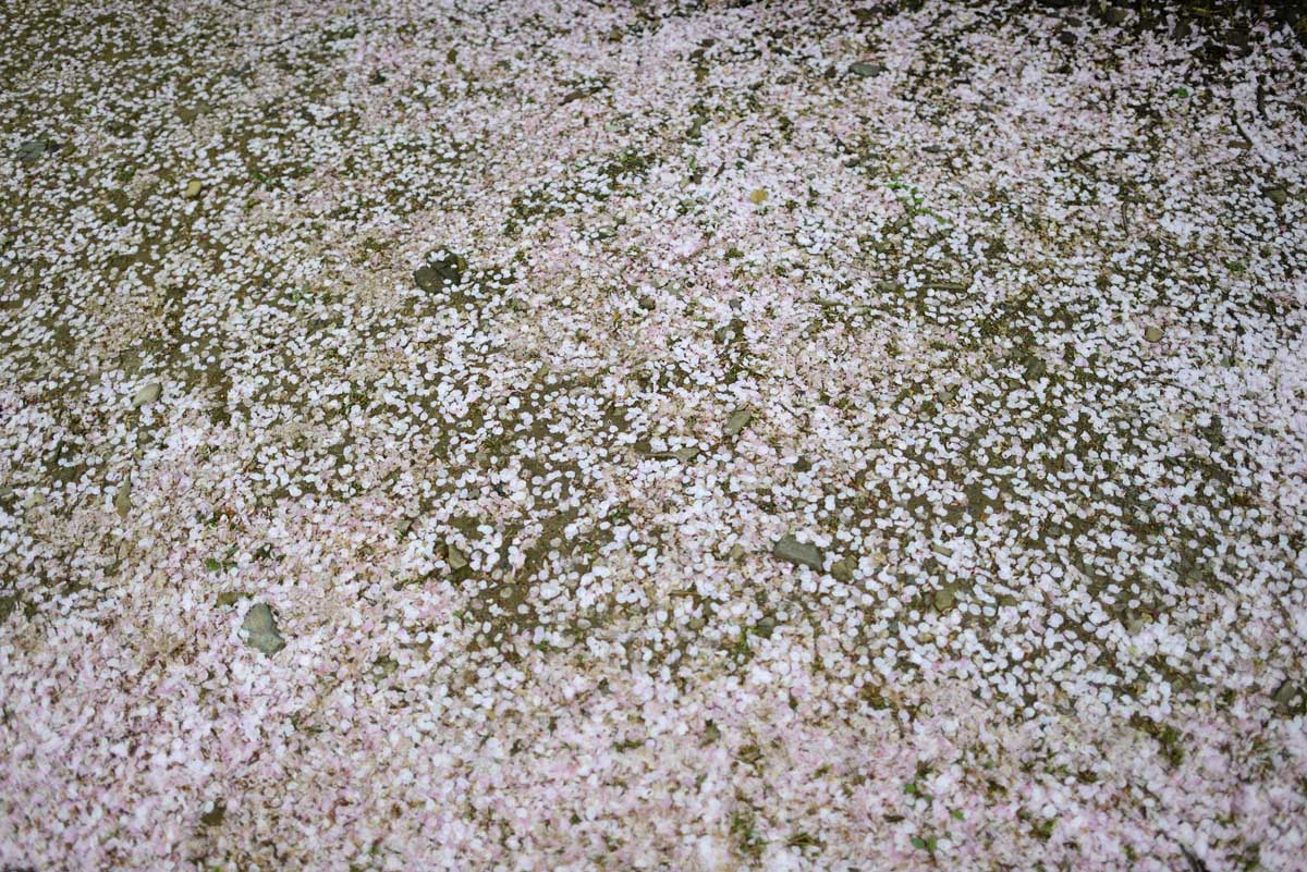 c0028861_16163913.jpg