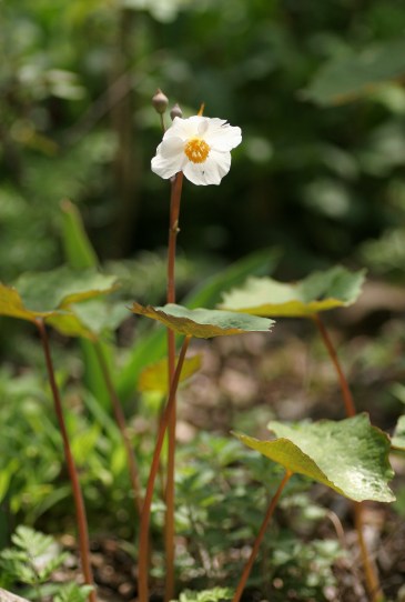 c0186463_1728695.jpg