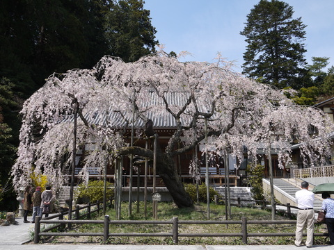 a0170166_208326.jpg