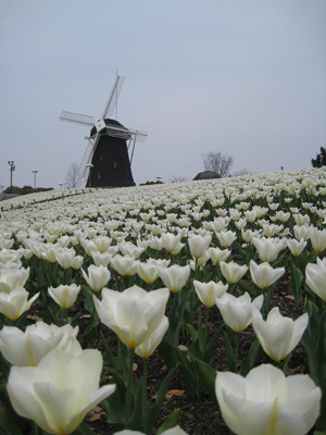 c0117570_12301628.jpg