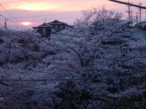 e0161972_8412079.jpg