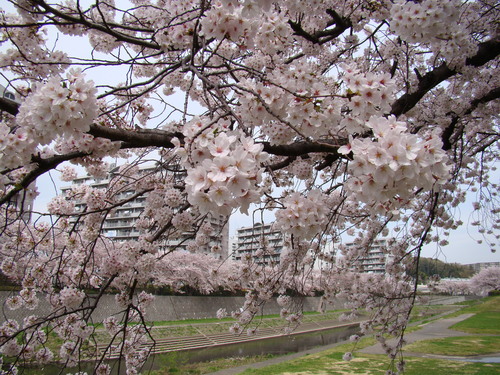 b0190573_23222748.jpg