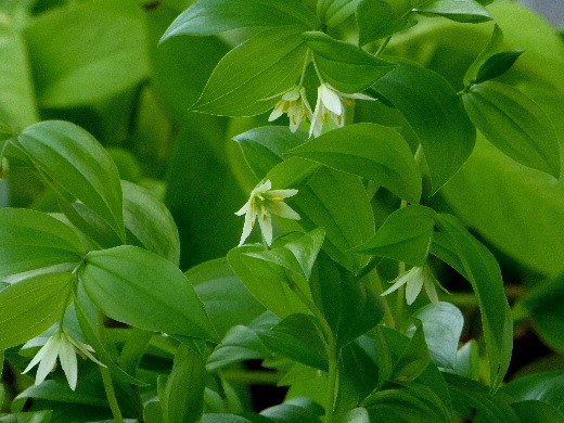 d0084473_2052091.jpg