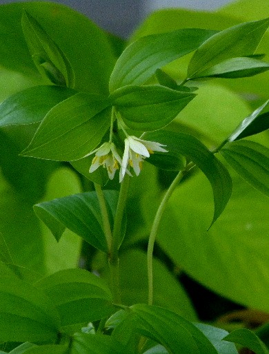 d0084473_20523961.jpg