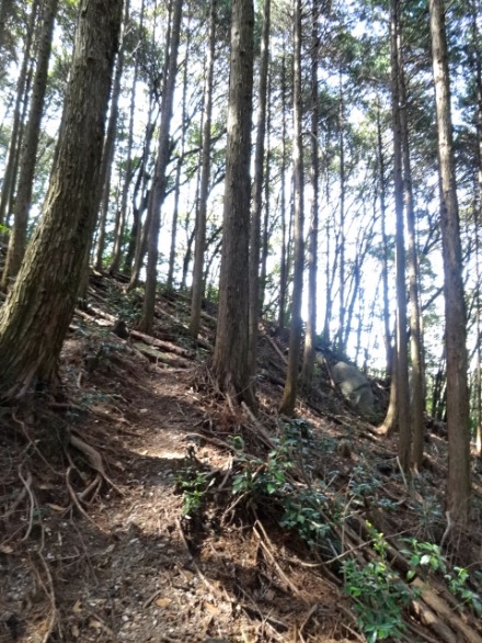 d0226273_0315327.jpg
