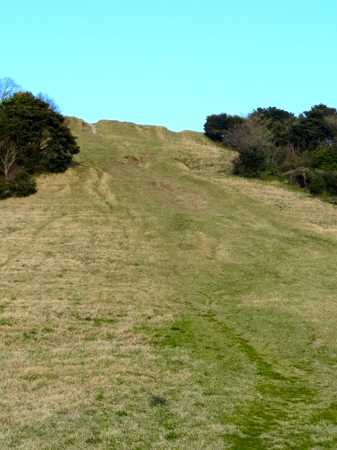 d0226273_10241727.jpg