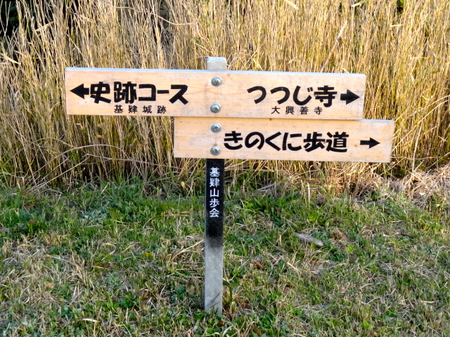 d0226273_10373733.jpg