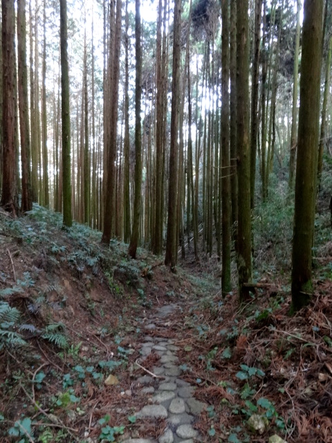 d0226273_1084713.jpg