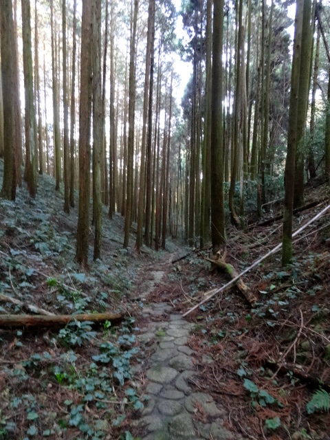 d0226273_1091570.jpg