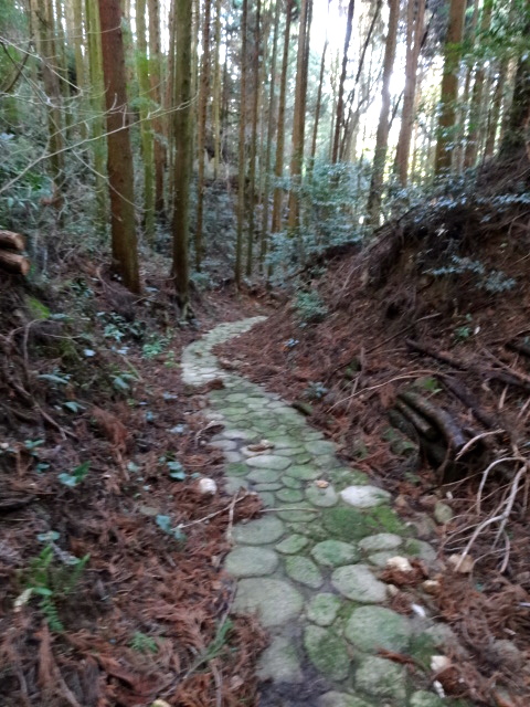 d0226273_1094840.jpg