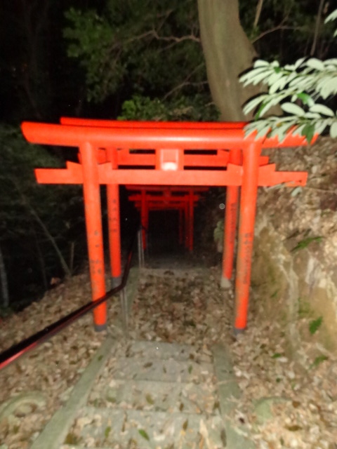 d0226273_1140336.jpg