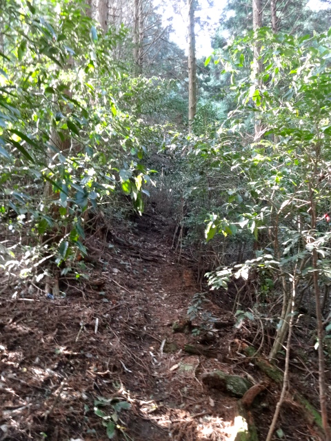 d0226273_1303377.jpg