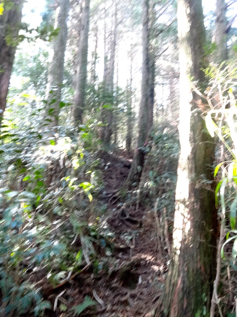 d0226273_131313.jpg