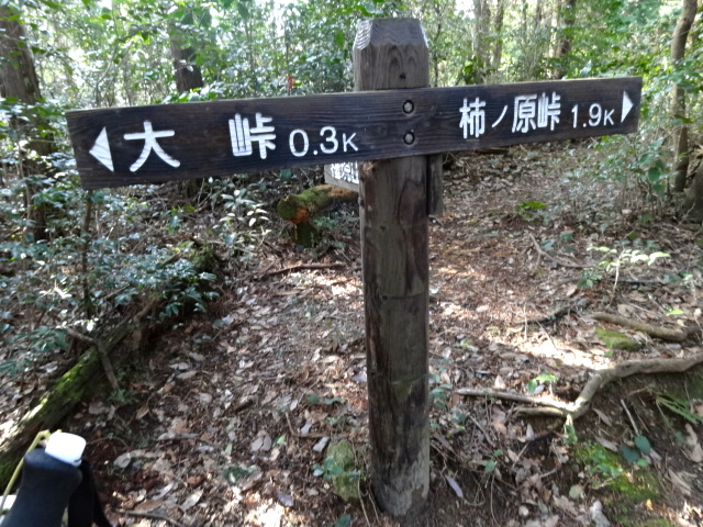 d0226273_1333129.jpg