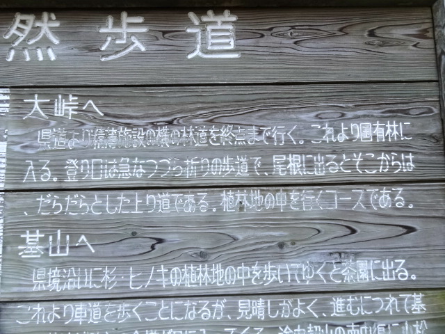 d0226273_136183.jpg
