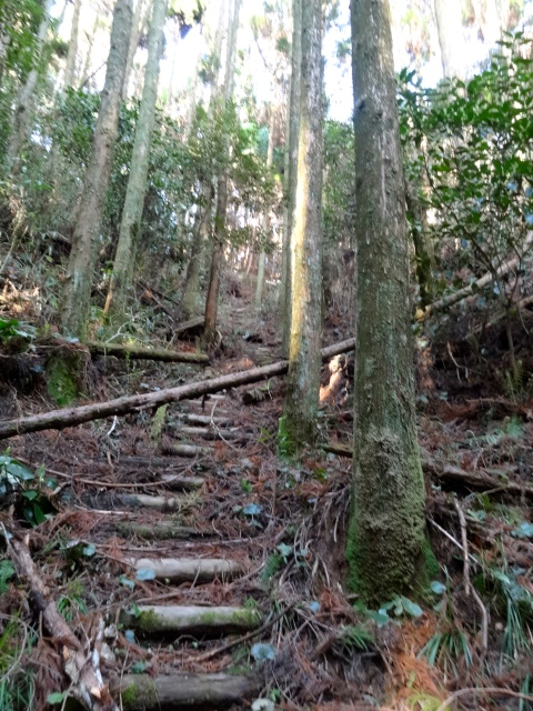 d0226273_1482156.jpg