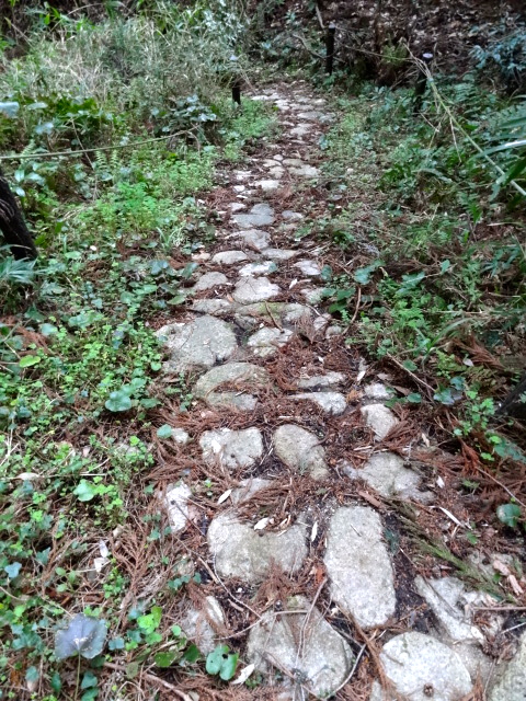 d0226273_1505289.jpg