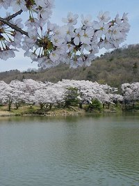 b0004675_21555090.jpg