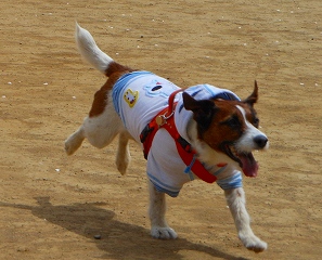 e0121589_17302357.jpg