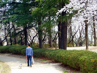 e0121589_17324695.jpg
