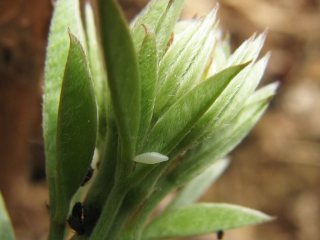 b0194593_14542729.jpg