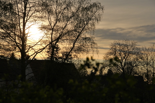 c0100195_3395472.jpg
