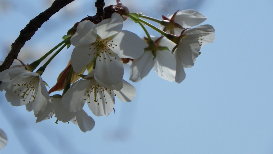 a0207396_13442028.jpg