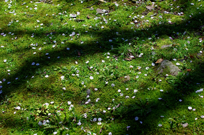 e0079696_975429.jpg