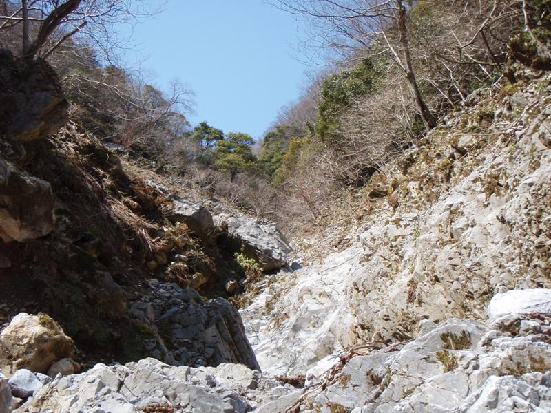 b0039898_16342475.jpg