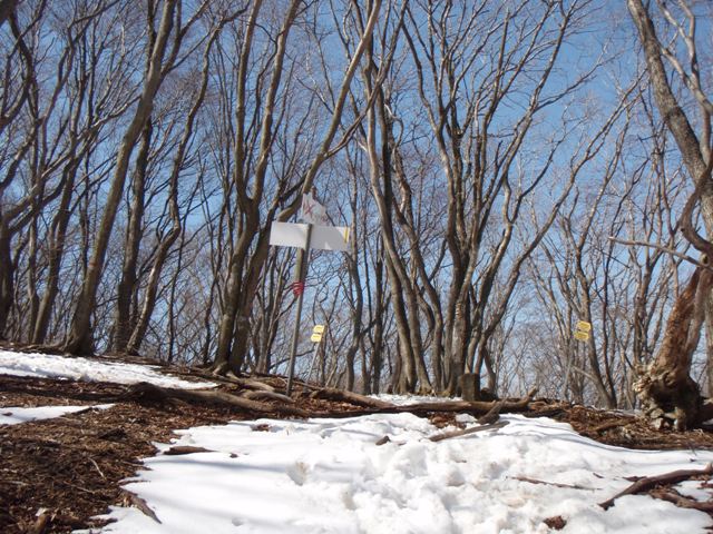 b0039898_16352022.jpg