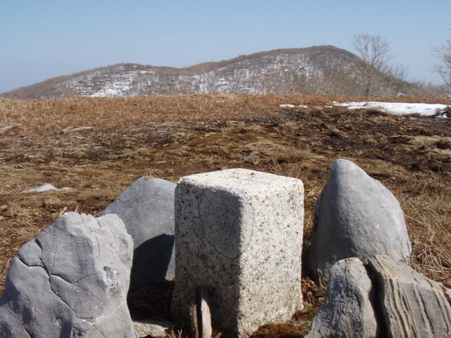 b0039898_16354980.jpg