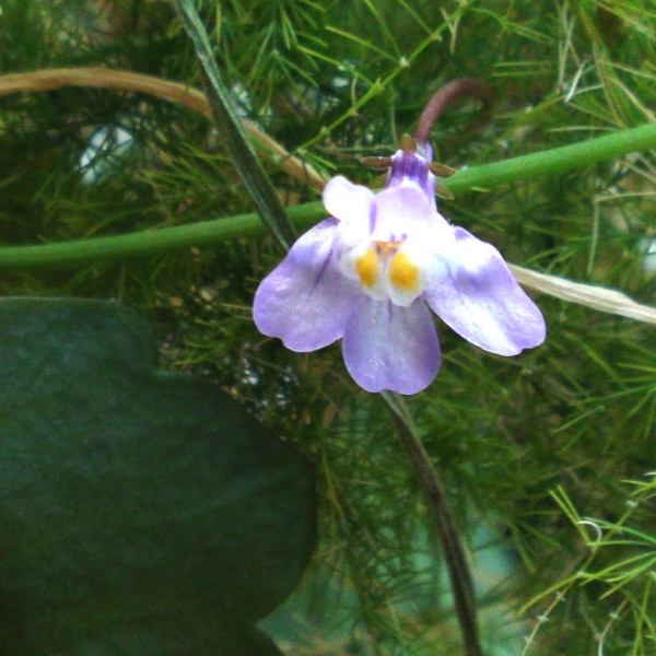 a0031000_22311553.jpg