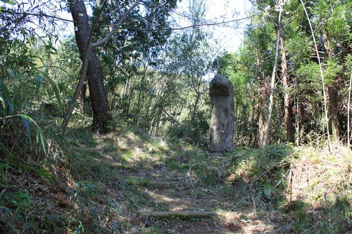 e0205502_16345466.jpg