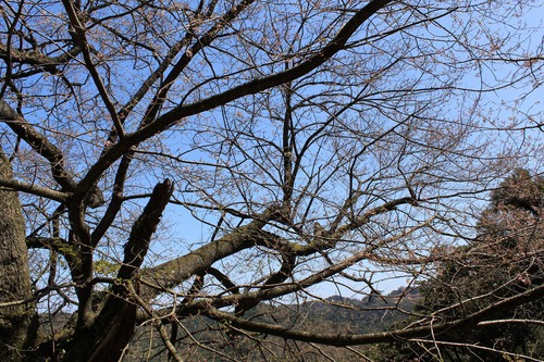 e0205502_16381787.jpg
