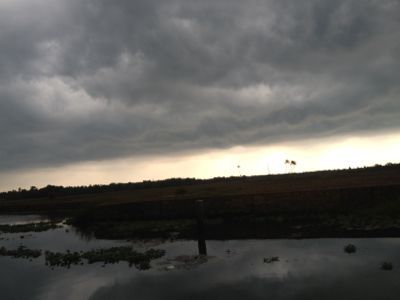 a0201204_14472145.jpg