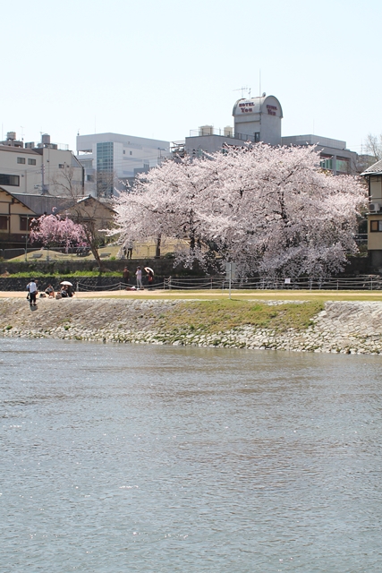 c0228404_4412665.jpg