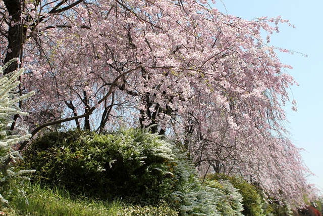 c0228404_564045.jpg