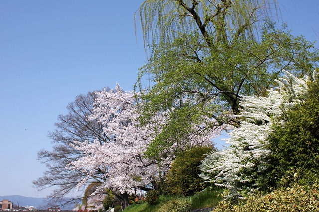 c0228404_592558.jpg