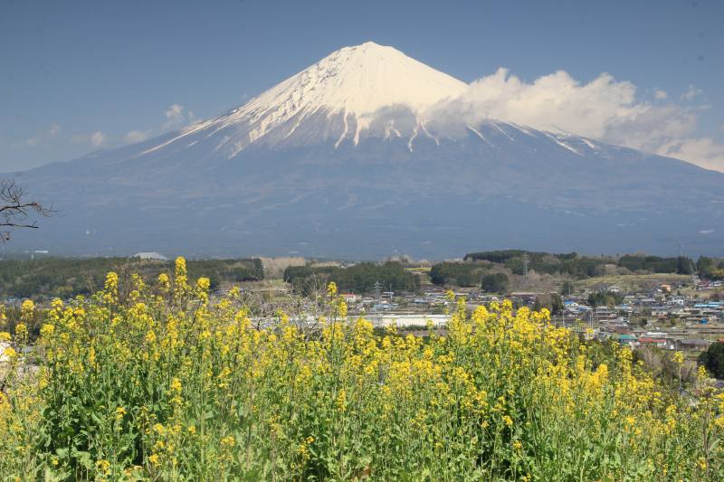 a0188405_1740639.jpg
