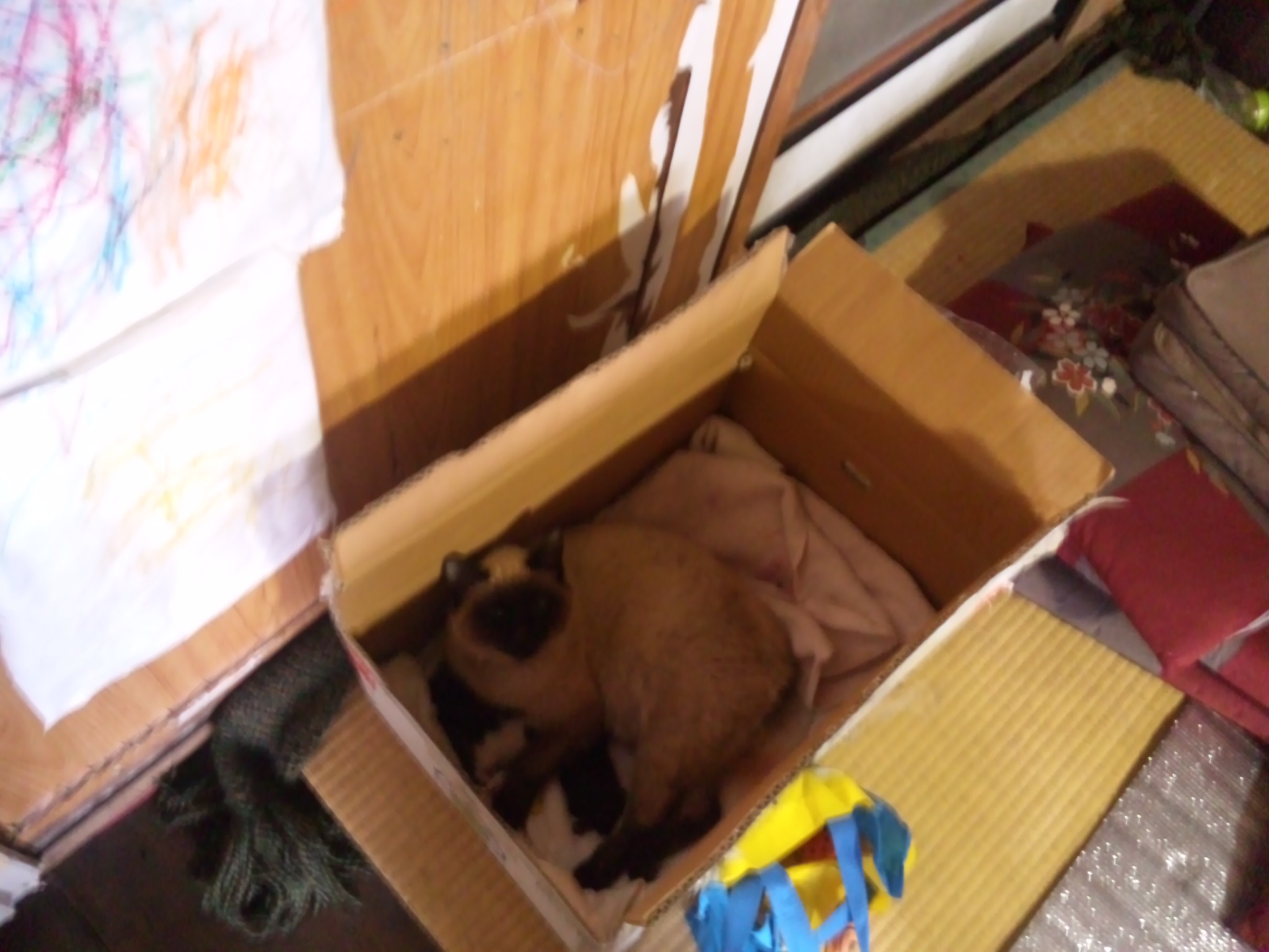 c0126205_824751.jpg